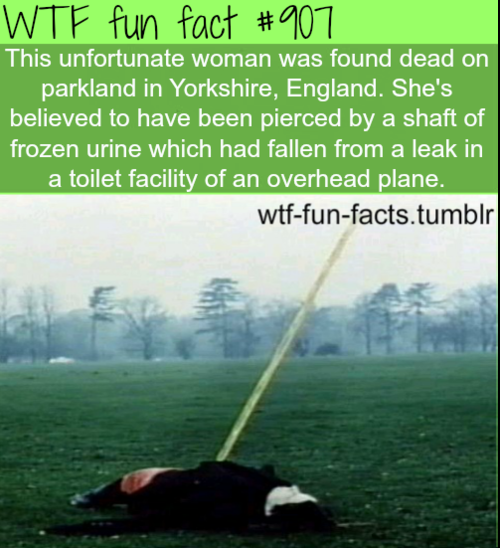 MORE OF WTF-FUN-FACTS are coming HERE  funny and weird facts ONLY