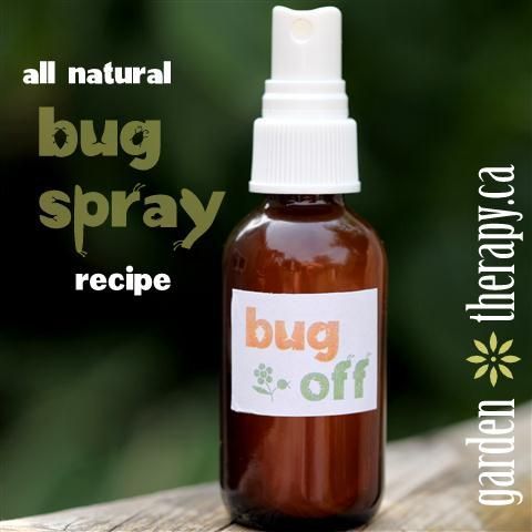 Bug Spray  Ingredients  4 drops citronella essential oil  4 drops lemongrass ess