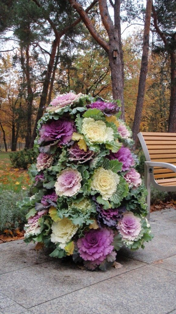 #Autumn #Garden… Flower tower using flowering cabbages. Plant cabbage flowerin
