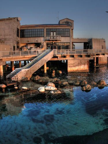 Monterey Bay Aquarium, Monterey, California, United States