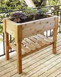 raised cedar planter box