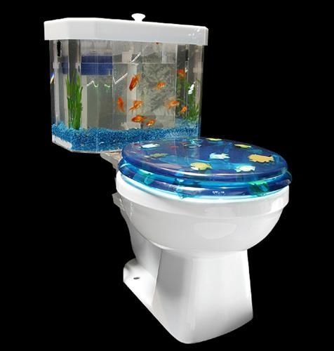 Bathroom Aquariam for a kids bathroom