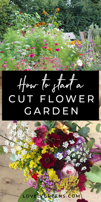 Grow your own Cut Flower Garden for Homegrown Bouquets - Grow your own Cut Flower Garden for Homegrown Bouquets -   18 beauty Flowers garden ideas
