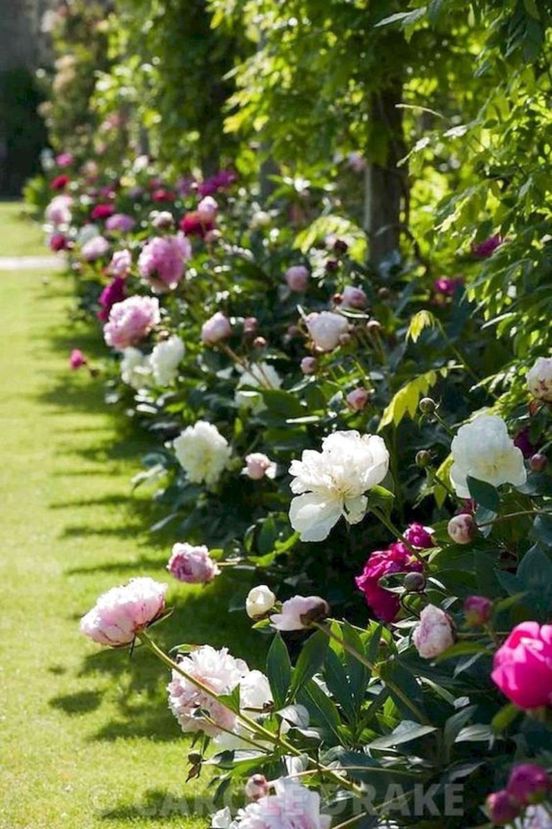 ?52 Favourite Flower Garden Design Ideas #FavouriteFlowerGardenDesignIdeas - ?52 Favourite Flower Garden Design Ideas #FavouriteFlowerGardenDesignIdeas -   18 beauty Flowers garden ideas