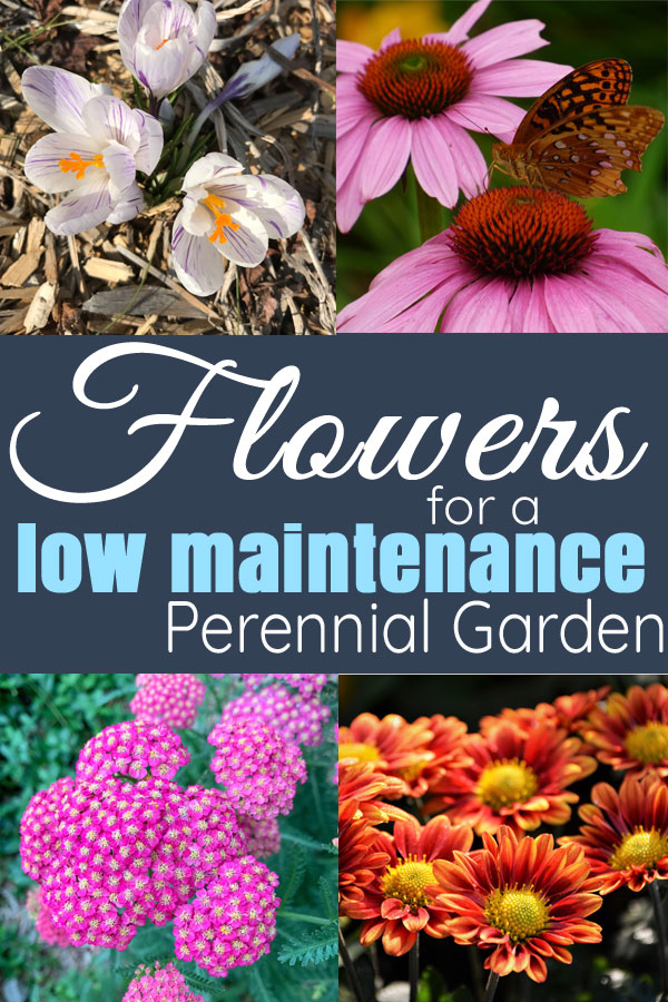 Flowers for an All-Season and Low Maintenance Perennial Flower Garden — Day to Day Adventures - Flowers for an All-Season and Low Maintenance Perennial Flower Garden — Day to Day Adventures -   18 beauty Flowers garden ideas
