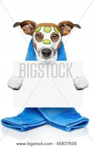 Dog With A Beauty Mask Poster ID:65837509 - Dog With A Beauty Mask Poster ID:65837509 -   18 beauty Mask poster ideas