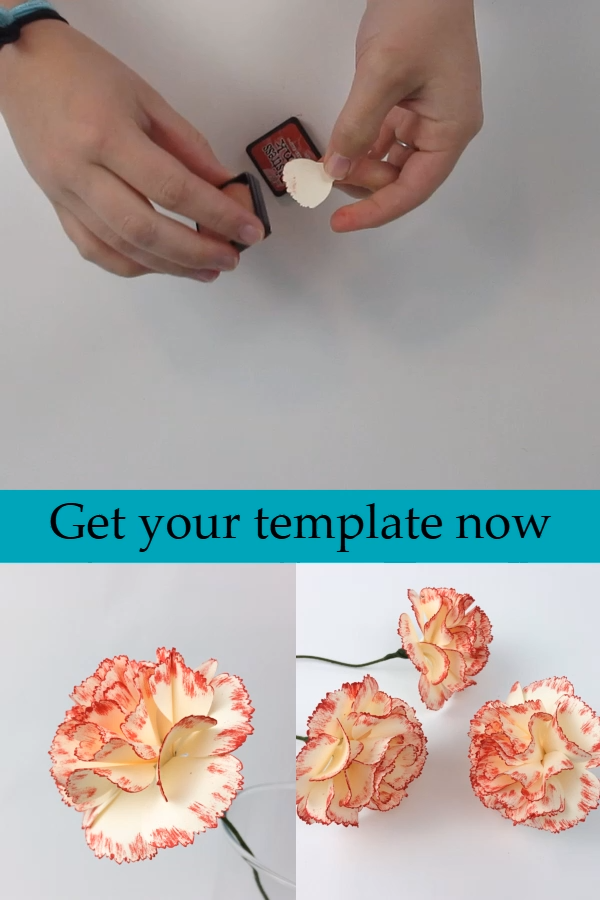Step-By-Step Paper Flowers | Carnation - Step-By-Step Paper Flowers | Carnation -   7 diy paper ideas