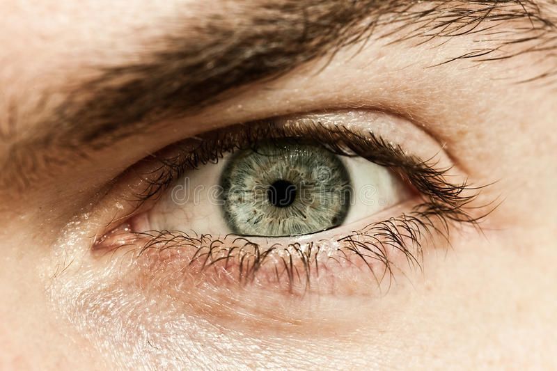 Male Macro Eye stock image. Image of beautiful, cornea - 20353217 - Male Macro Eye stock image. Image of beautiful, cornea - 20353217 -   10 beauty Eyes male ideas