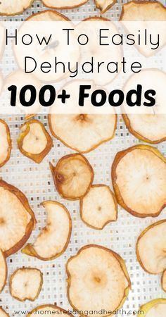 101+ Dehydrating Recipes for Food Storage, Hiking and Paleo Diets - 101+ Dehydrating Recipes for Food Storage, Hiking and Paleo Diets -   12 diy Food snacks ideas