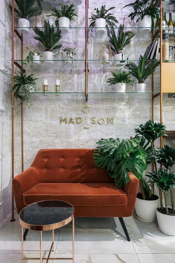 Madison beauty bar - Madison beauty bar -   13 beauty Bar in homes ideas