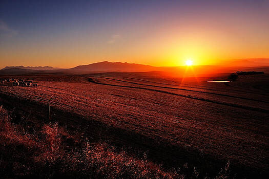 Golden Sunrise Over Farmland by Johan Swanepoel - Golden Sunrise Over Farmland by Johan Swanepoel -   13 beauty Day sunrise ideas