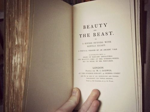 14 beauty And The Beast aesthetic ideas