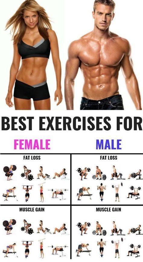 The 25 Best Exercises for Men and Women To Build Muscle - GymGuider.com - The 25 Best Exercises for Men and Women To Build Muscle - GymGuider.com -   14 fitness Exercises for men ideas