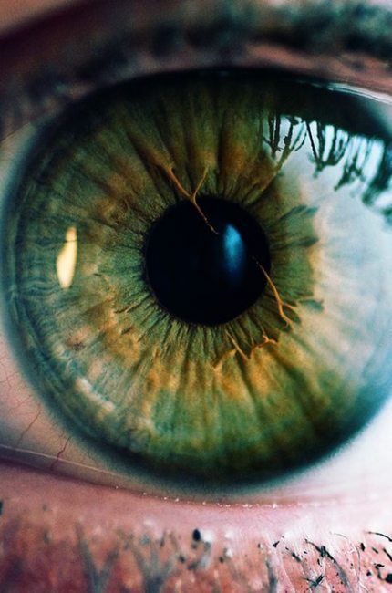 57+ Ideas Eye Green Facts Pictures - 57+ Ideas Eye Green Facts Pictures -   15 beauty Eyes man ideas