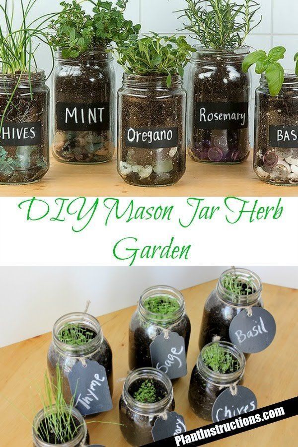 DIY Mason Jar Herb Garden - DIY Mason Jar Herb Garden -   15 diy Garden indoor ideas