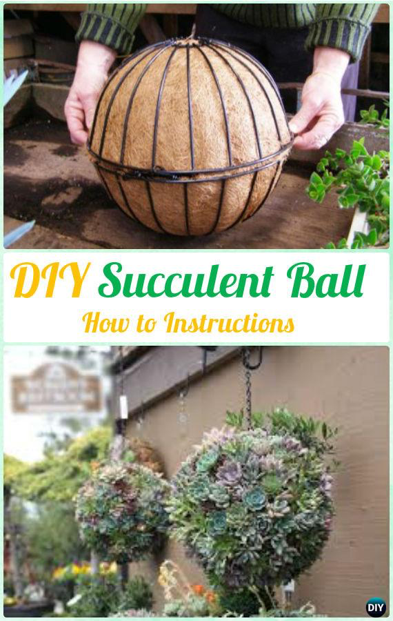 DIY Indoor Outdoor Succulent Garden Ideas Projects - DIY Indoor Outdoor Succulent Garden Ideas Projects -   15 diy Garden indoor ideas