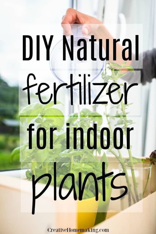 6 Natural Fertilizers for Indoor Plants - Creative Homemaking - 6 Natural Fertilizers for Indoor Plants - Creative Homemaking -   15 diy Garden indoor ideas