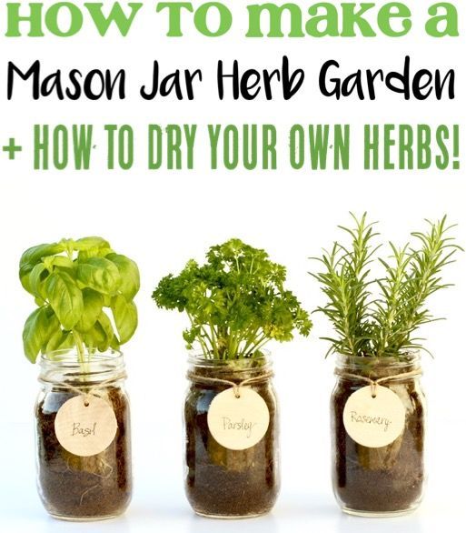 DIY Mason Jar Herb Garden! {Indoor Herbs for the Kitchen} - DIY Mason Jar Herb Garden! {Indoor Herbs for the Kitchen} -   15 diy Garden indoor ideas