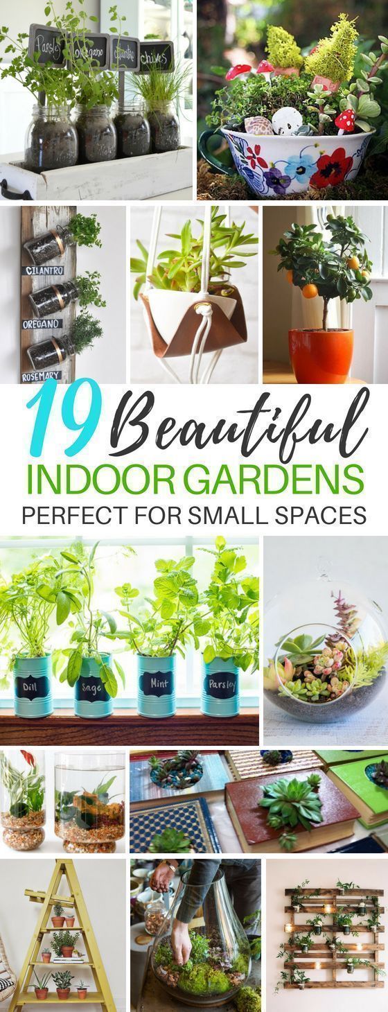 15 diy Garden indoor ideas