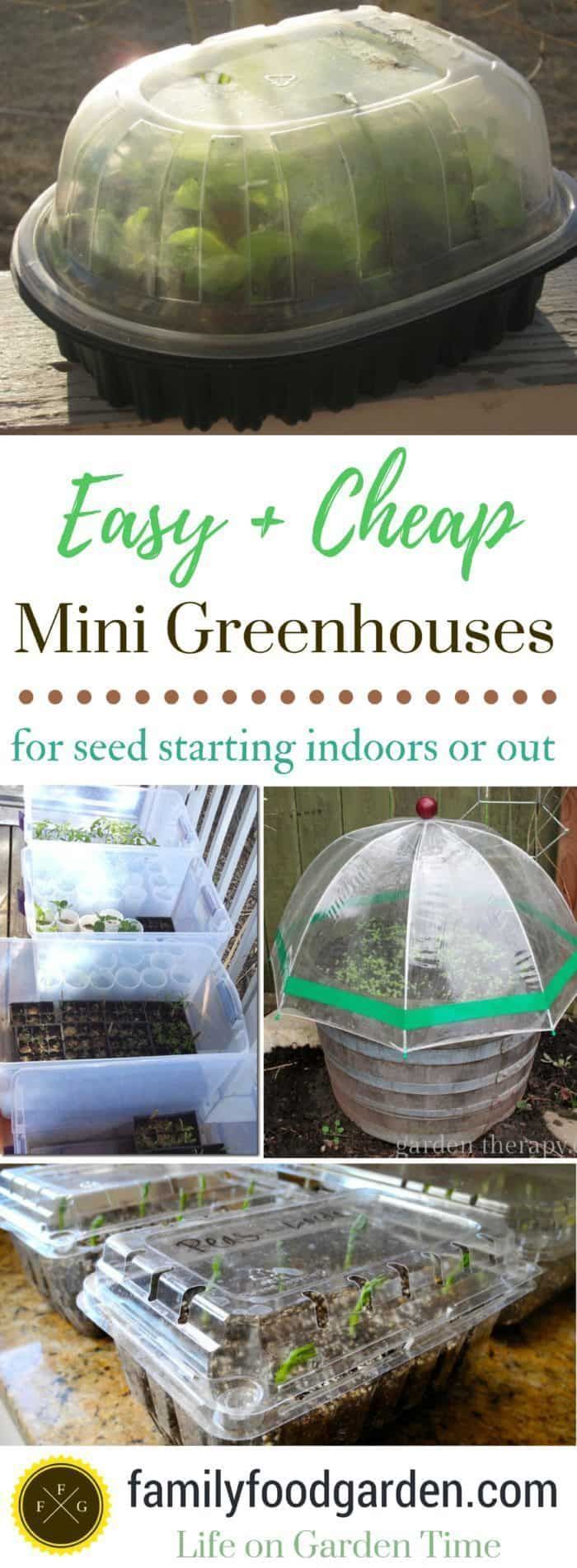 Cheap Mini Greenhouse for Seed Starting [year] | Family Food Garden - Cheap Mini Greenhouse for Seed Starting [year] | Family Food Garden -   15 diy Garden indoor ideas