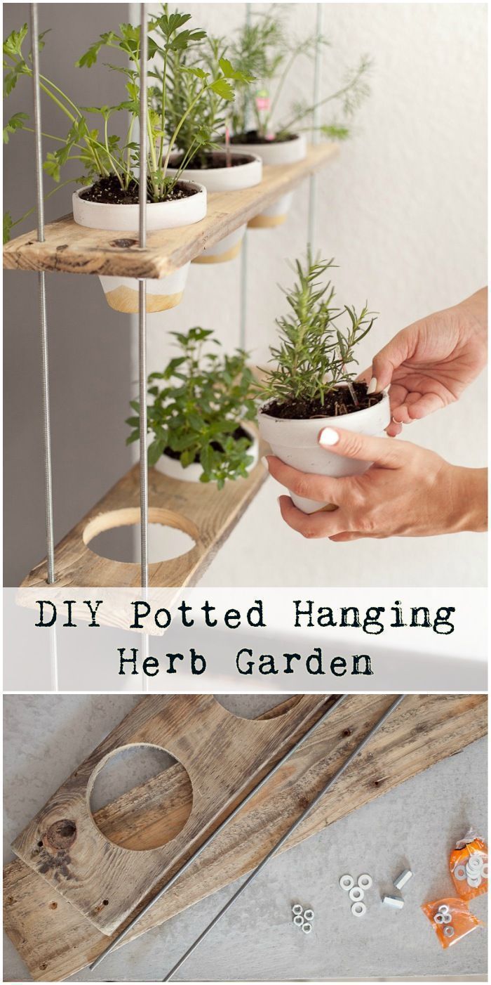 Hanging Herb Garden Ideas for Your Home - MORFLORA - Hanging Herb Garden Ideas for Your Home - MORFLORA -   15 diy Garden indoor ideas