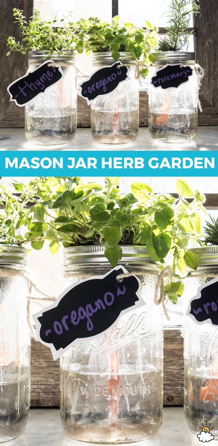 Fill An Applesauce Cup With Dirt And Put It In A Mason Jar For A Cute Herb Garden - Fill An Applesauce Cup With Dirt And Put It In A Mason Jar For A Cute Herb Garden -   15 diy Garden indoor ideas