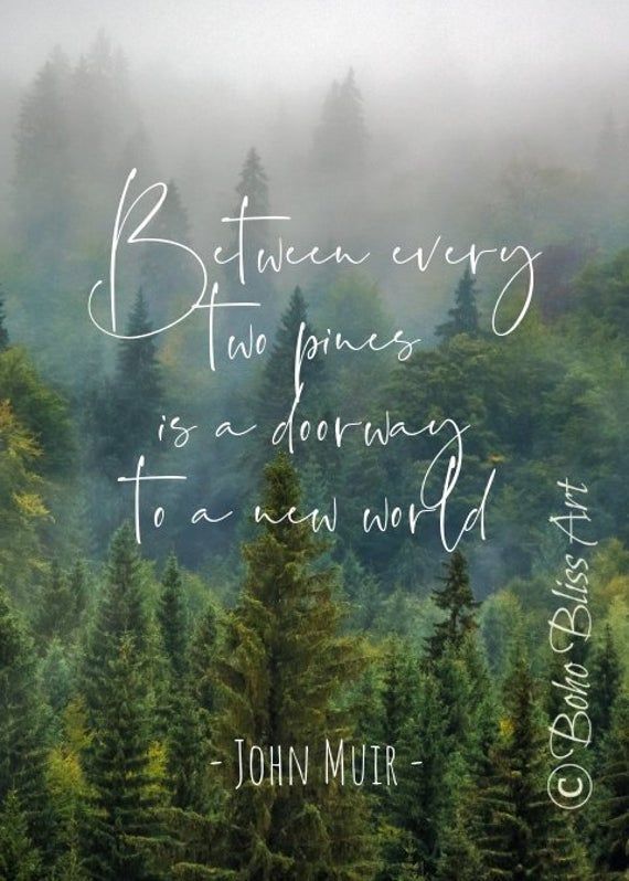 John Muir Quote: Between every two pines there is a doorway to a new world. Gift for Nature Lovers! Tree Hugger Art Print | Instant Download - John Muir Quote: Between every two pines there is a doorway to a new world. Gift for Nature Lovers! Tree Hugger Art Print | Instant Download -   17 beauty Life nature ideas