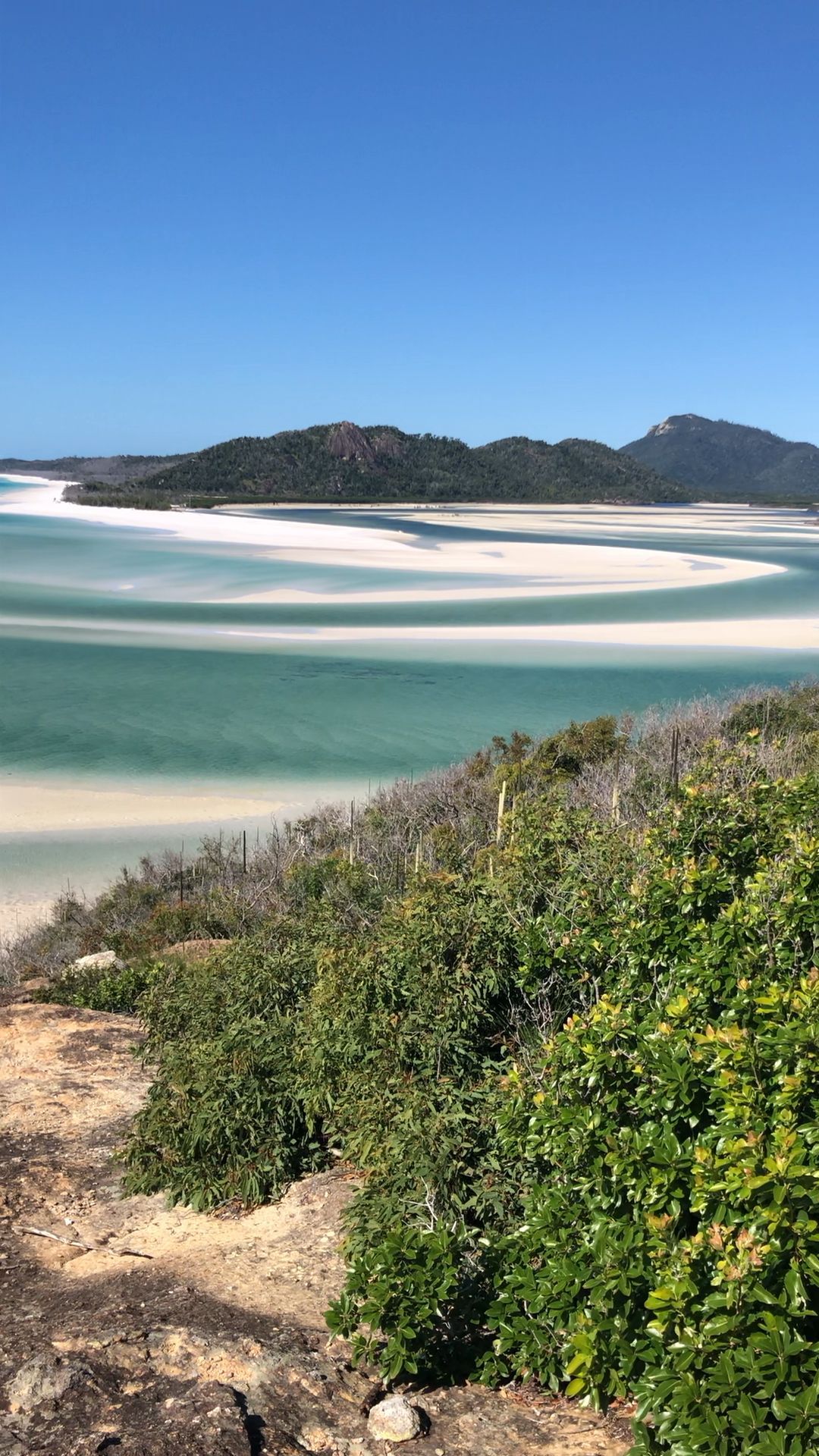 Beaches Australia - Is Whitsunday's the World's Best Beach? - Beaches Australia - Is Whitsunday's the World's Best Beach? -   17 beauty Videos places ideas