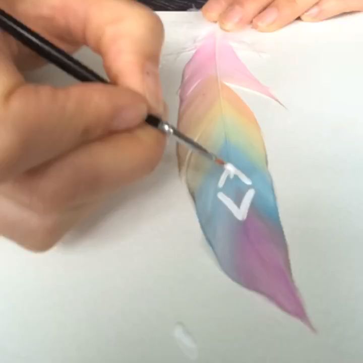 Hand painted rainbow feathers - Hand painted rainbow feathers -   17 diy Dream Catcher rainbow ideas