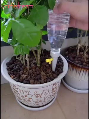 ??This will ensure that your plants will not run out of water when you go out - ??This will ensure that your plants will not run out of water when you go out -   17 diy Garden pot ideas
