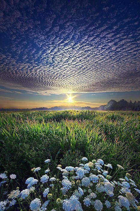 Promise Fulfilled Art Print by Phil Koch - Promise Fulfilled Art Print by Phil Koch -   19 beauty Images amazing photos ideas