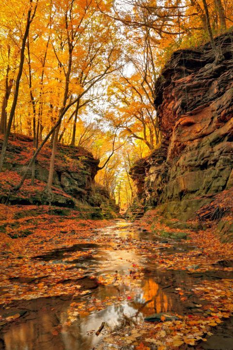 23 Photos That Prove Fall is The Most Spectacular Season - 23 Photos That Prove Fall is The Most Spectacular Season -   19 beauty Images amazing photos ideas