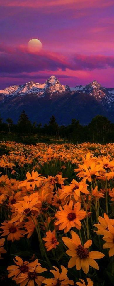 15 Amazing Places to Visit in Wyoming Theres nothing like soaking in the na... - 15 Amazing Places to Visit in Wyoming Theres nothing like soaking in the na... -   19 beauty Images amazing photos ideas