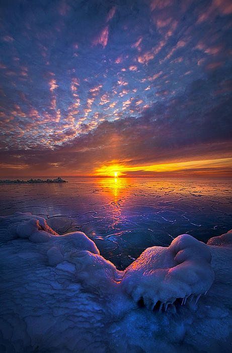 The First Gift Art Print by Phil Koch - The First Gift Art Print by Phil Koch -   19 beauty Images amazing photos ideas