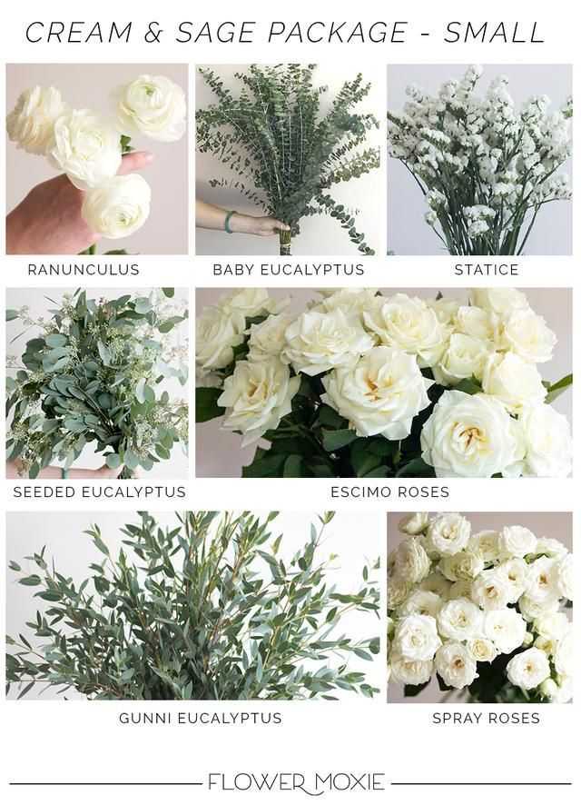 Cream and Sage- Small Package - Cream and Sage- Small Package -   19 diy Wedding flowers ideas