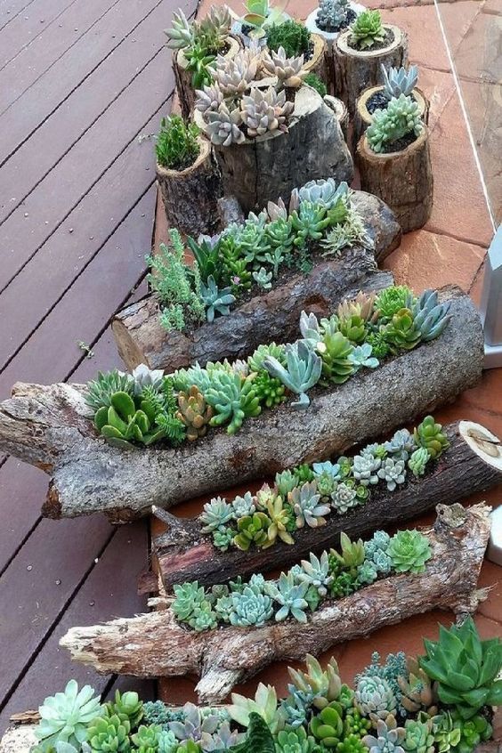 Cool DIY Crafts And Ideas With Succulents That Will Amaze you - Cool DIY Crafts And Ideas With Succulents That Will Amaze you -   10 diy Interieur tuin ideas