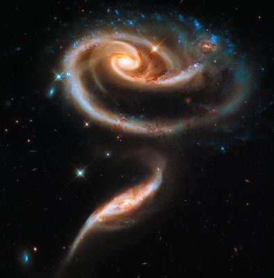 Space Image Galaxy Rose by Matthias Hauser - Space Image Galaxy Rose by Matthias Hauser -   beauty Images galaxy