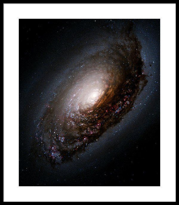 Black Eye Galaxy M64 Framed Print by Astronomy Gift Shop - Black Eye Galaxy M64 Framed Print by Astronomy Gift Shop -   13 beauty Images galaxy ideas