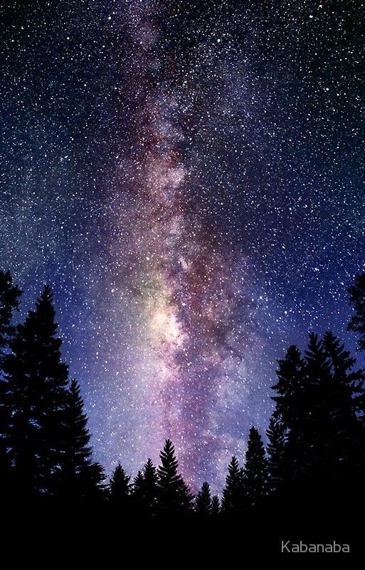 'Starry Night Forest - Galaxy Stars' iPhone Case by Kabanaba - 'Starry Night Forest - Galaxy Stars' iPhone Case by Kabanaba -   13 beauty Images galaxy ideas