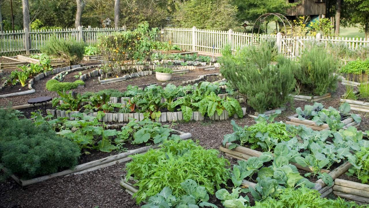 How to grow a potager garden - How to grow a potager garden -   14 diy Garden arch ideas