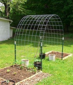 Grow your own produce with and a trellis and raised garden box combo - Grow your own produce with and a trellis and raised garden box combo -   14 diy Garden arch ideas