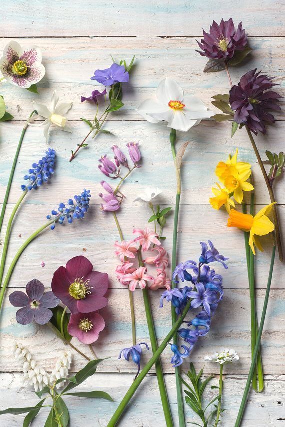 15 beauty Images of spring ideas