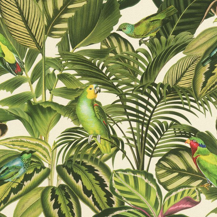 Freundin Tropical Parrot Wallpaper Green / Cream Rasch 439533 - Freundin Tropical Parrot Wallpaper Green / Cream Rasch 439533 -   15 beauty Wallpaper green ideas