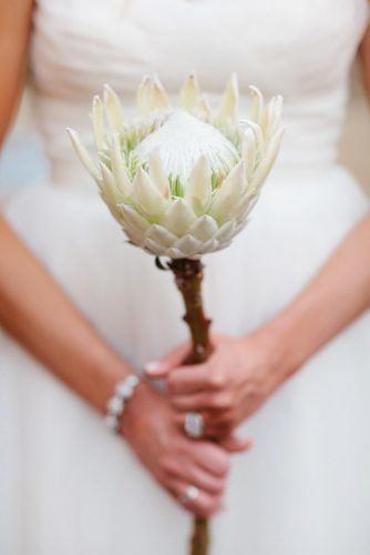 30 Beautiful Single-Stem Wedding Bouquets | Wedding Forward - 30 Beautiful Single-Stem Wedding Bouquets | Wedding Forward -   16 beauty Flowers bouquet ideas