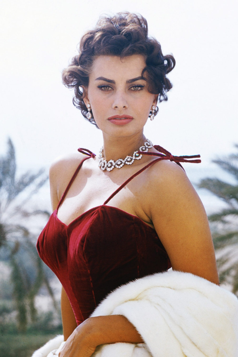 Sophia Loren compie 85 anni di et?: ecco i suoi segreti beauty - Sophia Loren compie 85 anni di et?: ecco i suoi segreti beauty -   16 beauty Icon celebrity ideas