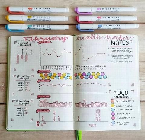 16 fitness Journal monthly ideas