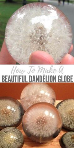 How To Make a Beautiful Dandelion Paperweight Globe - SHTFPreparedness - How To Make a Beautiful Dandelion Paperweight Globe - SHTFPreparedness -   17 beauty DIY art ideas