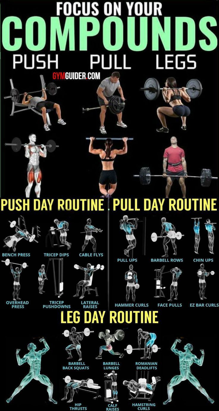 Build Muscle And Blast Fat With The Push/Pull Workout Plan - GymGuider.com - Build Muscle And Blast Fat With The Push/Pull Workout Plan - GymGuider.com -   17 fitness Training routine ideas