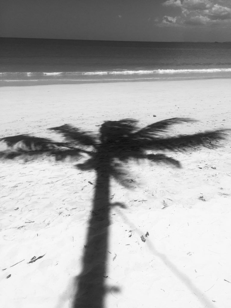 39 Stunning Images Of Beaches In Black And White - 39 Stunning Images Of Beaches In Black And White -   18 beauty Images black and white ideas