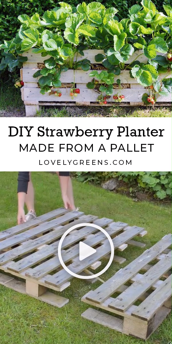 How to make a Strawberry Pallet Planter - How to make a Strawberry Pallet Planter -   18 diy Garden flowers ideas